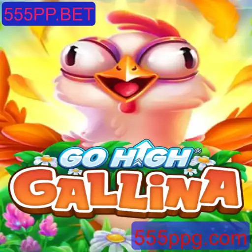 Desvendando o Universo de GoHighGallina